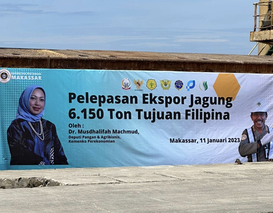 Ekspor Perdana di 2023, Jagung Asal Sulsel Senilai Rp30,43 Miliar Dikirim ke Filipina